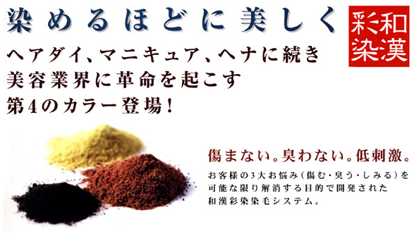 和漢彩染